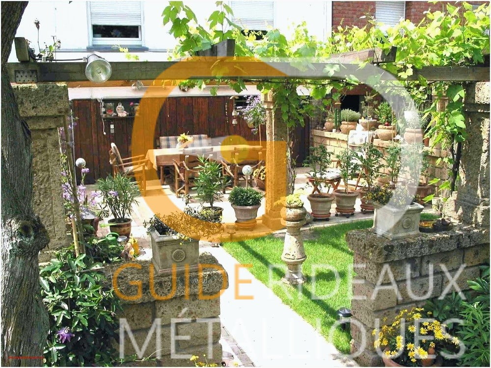 Comment nettoyer votre jardin et prendre soin des plantes ?